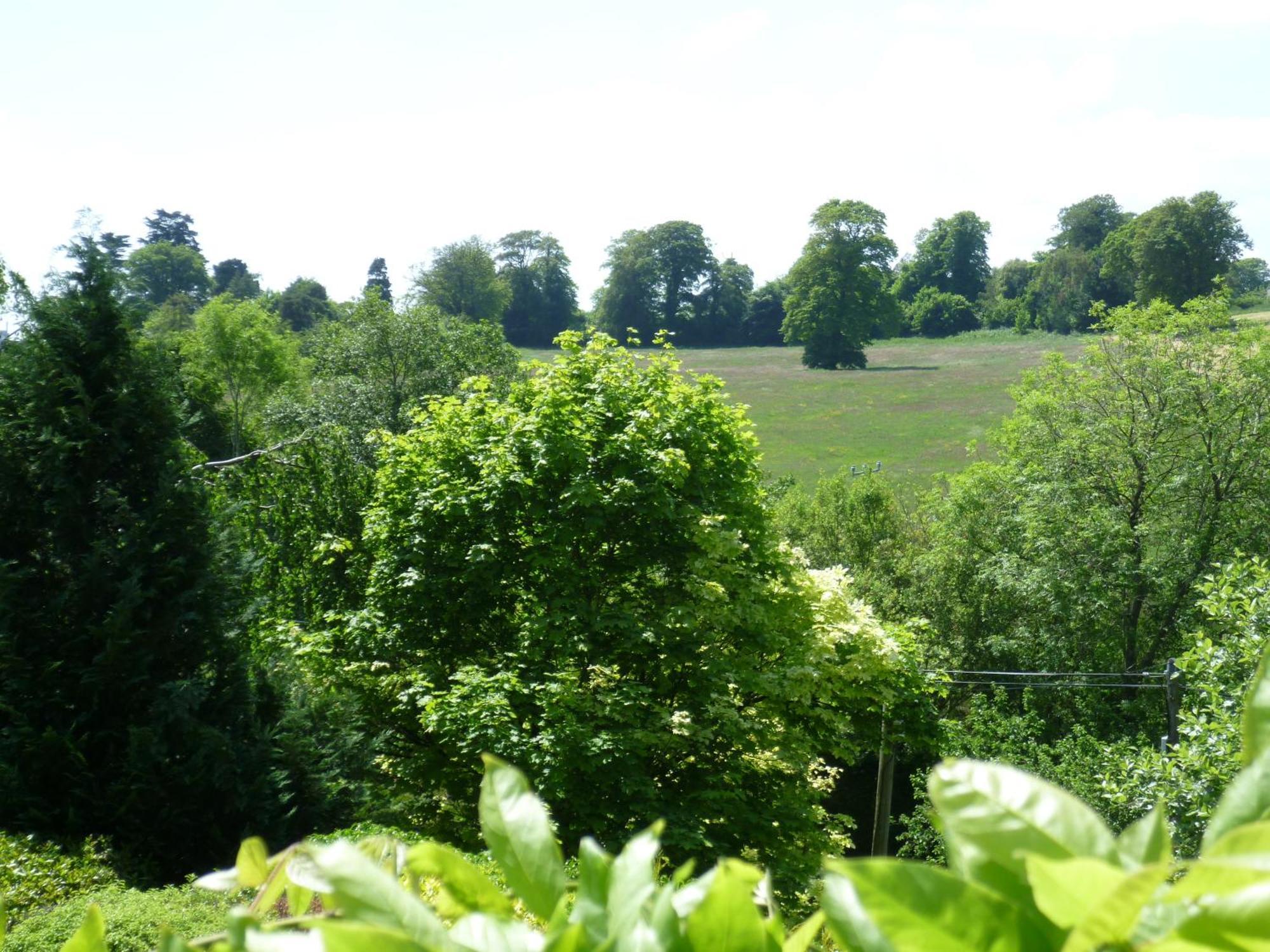 Diamond Hill Country House Уотърфорд Екстериор снимка