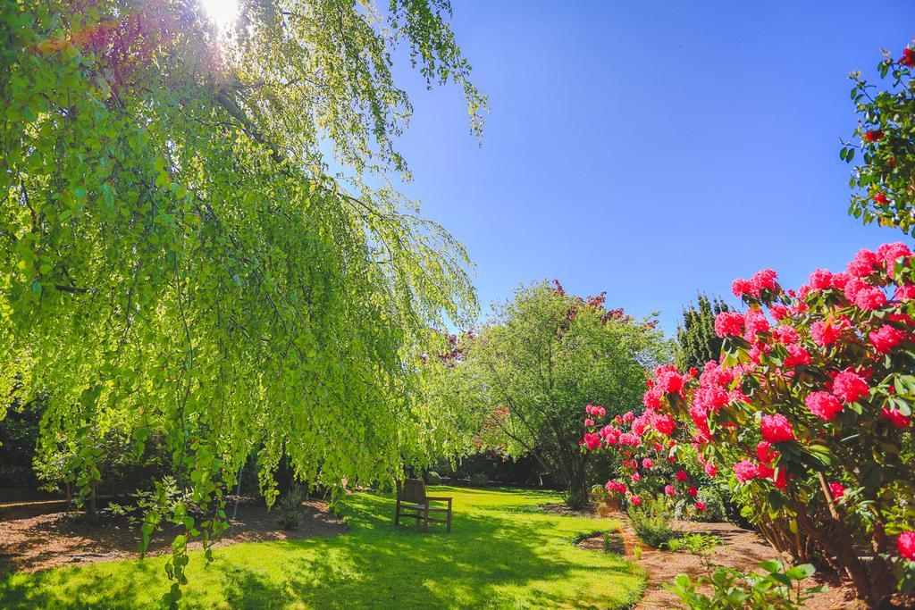 Diamond Hill Country House Уотърфорд Екстериор снимка