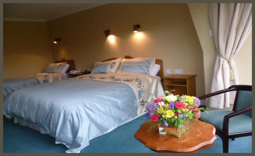 Diamond Hill Country House Уотърфорд Екстериор снимка