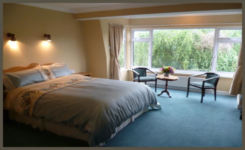 Diamond Hill Country House Уотърфорд Екстериор снимка